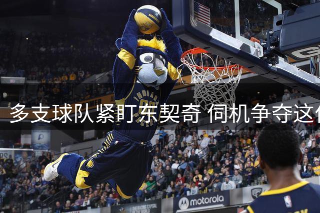 多支球队紧盯东契奇 伺机争夺这位正值巅峰的巨星