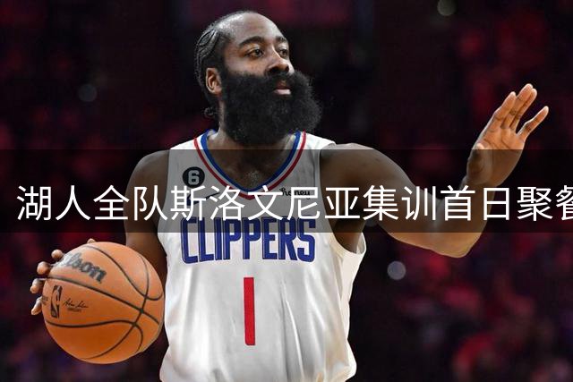 湖人全队斯洛文尼亚集训首日聚餐合影曝光